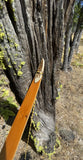 Raptor Signature longbow LH 62" 50#