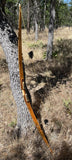 Raptor Signature longbow LH 62" 50#