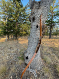 RH Raptor takedown recurve, 64", 50#@28"