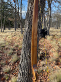 Signature longbow, RH 50#