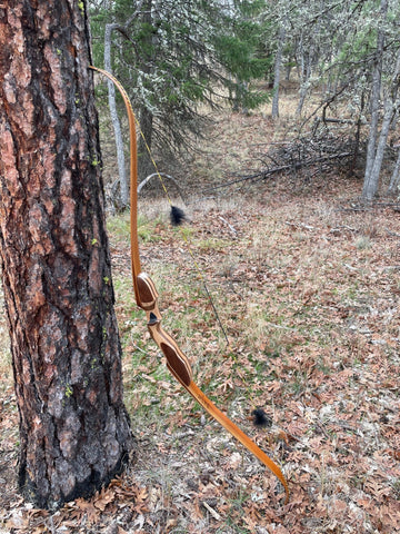 Raptor Bows In Stock