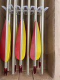 True Flight aluminum arrows