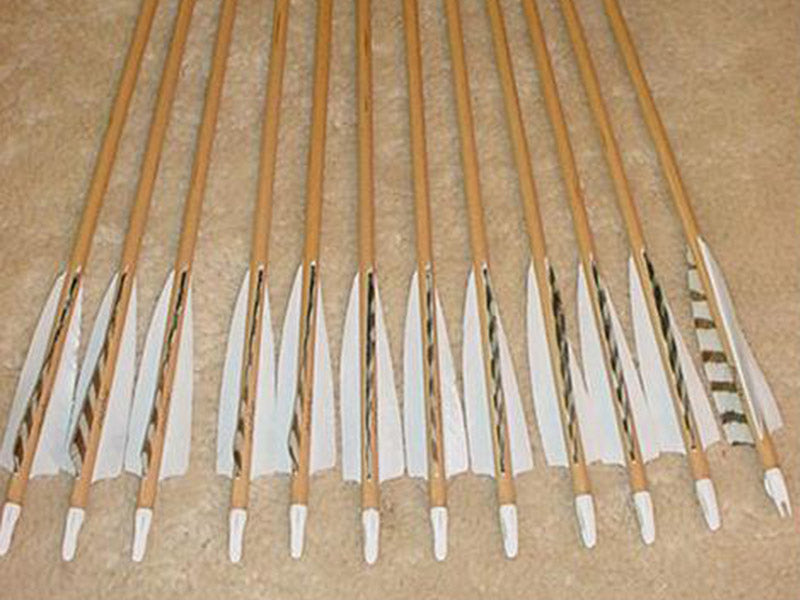 55-60# Falcon Arrows –Sitka Spruce, gray bar/white